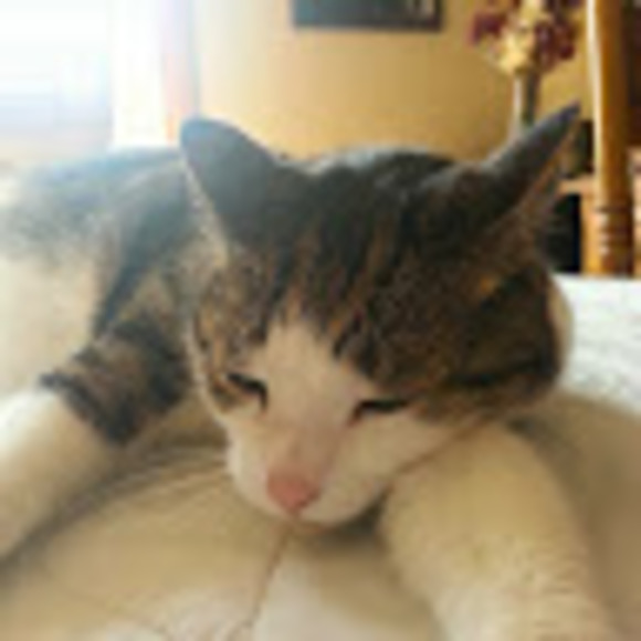 Meet your Posher, Eric - Picture 1 of 1